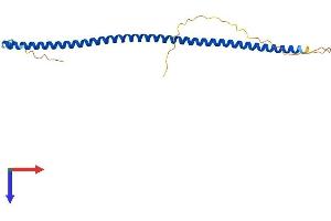 CCDC85B Protein (AA 1-202) (His tag)