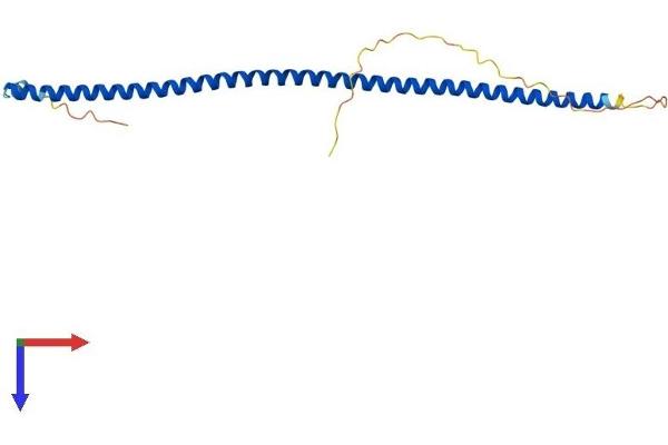 CCDC85B Protein (AA 1-202) (His tag)