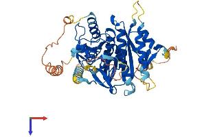 ATG4C Protein (AA 1-458) (His tag)