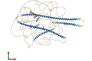 Protein Structure (PS) image for Angiomotin (AMOT) (AA 1-1084) protein (His tag) (ABIN7552210)