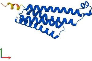 Protein Structure (PS) image for Prostaglandin E Synthase (PTGES) (AA 1-153) protein (His tag) (ABIN7561691)