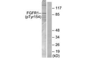 Western Blotting (WB) image for anti-Fibroblast Growth Factor Receptor 1 (FGFR1) (AA 121-170), (pTyr154) antibody (ABIN1531842)