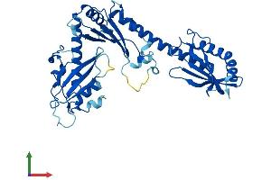 Protein Structure (PS) image for Brain and Reproductive Organ-Expressed (TNFRSF1A Modulator) (BRE) (AA 1-383) protein (His tag) (ABIN7564659)