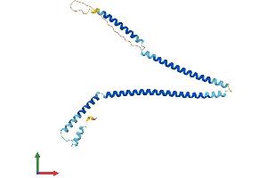 Protein Structure (PS) image for Centromere Protein H (CENPH) (AA 1-247) protein (His tag) (ABIN7553169)
