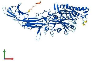 Protein Structure (PS) image for Peptidyl Arginine Deiminase, Type II (PADI2) (AA 1-673) protein (His tag) (ABIN7556924)