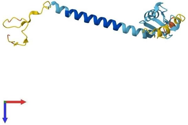 RNF122 Protein (AA 1-155) (His tag)