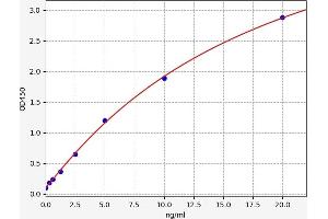 ABCC1 ELISA Kit