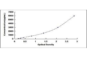 Typical standard curve (ENPP2 ELISA Kit)