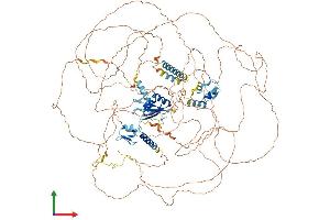 Protein Structure (PS) image for RNA Binding Motif Protein 20 (RBM20) (AA 1-1199) protein (His tag) (ABIN7563743)
