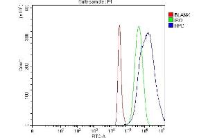 Flow Cytometry analysis of HepG2 cells using anti-HPD antibody (ABIN7599818). (HPD Antikörper  (AA 12-357))