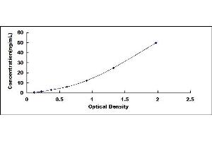 Typical standard curve (Ki-67 ELISA Kit)