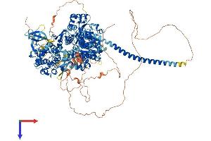 MYO3B Protein (AA 1-1341) (His tag)