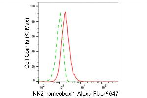 Flow cytometric analysis of NK2 homeobox 1 expression in HAP-1 cells using NK2 homeobox 1 antibody (ABIN7799606), 1:2,000). (Rekombinanter NKX2-1 Antikörper)