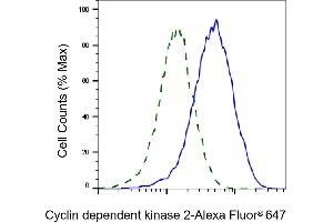 Validation of Cyclin dependent kinase 2 knockdown using flow cytometry. (Rekombinanter CDK2 Antikörper)