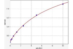 Neuritin 1 (NRN1) ELISA Kit