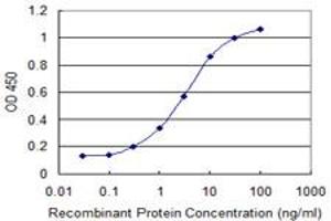 Detection limit for recombinant GST tagged GIMAP4 is 0. (GIMAP4 Antikörper  (AA 125-224))