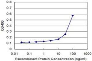 ELISA image for anti-Cyclin-Dependent Kinase Inhibitor 1B (p27, Kip1) (CDKN1B) (AA 1-198) antibody (ABIN4888951)