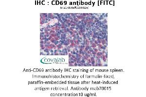 Image no. 1 for anti-CD69 (CD69) antibody (FITC) (ABIN1723067) (CD69 Antikörper  (FITC))