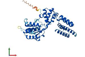 Protein Structure (PS) image for Replication Factor C (Activator 1) 5, 36.5kDa (RFC5) (AA 1-340) protein (His tag) (ABIN7551375)