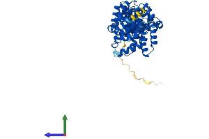 Protein Structure (PS) image for Basic Leucine Zipper and W2 Domains 1 (BZW1) (AA 1-419) protein (His tag) (ABIN7552781)