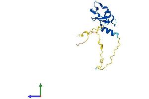 AlphaFold protein structure predicition of Human Recombinant RNF224 Protein, UniprotID P0DH78