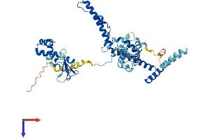 TADA2L Protein (AA 1-443) (His tag)