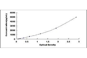 Typical standard curve (SCGB1A1 ELISA Kit)