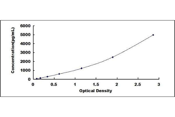 SCGB1A1 ELISA Kit