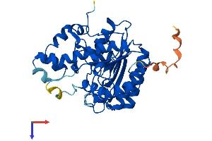 HDAC11 Protein (AA 1-347) (His tag)