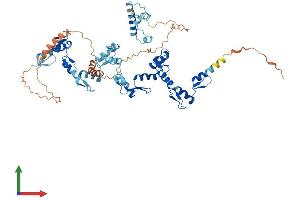 AlphaFold protein structure predicition of Human Recombinant ZNF583 Protein, UniprotID Q96ND8