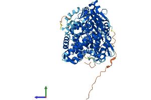 Protein Structure (PS) image for Glyceronephosphate O-Acyltransferase (GNPAT) (AA 1-678) protein (His tag) (ABIN7556843)