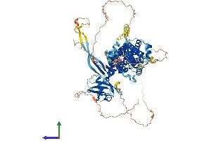 Protein Structure (PS) image for Ral Guanine Nucleotide Dissociation Stimulator-Like 1 (RGL1) (AA 1-768) protein (His tag) (ABIN7551365)