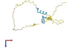 HCFC1R1 Protein (AA 1-138) (His tag)