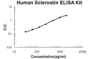 Human Sclerostin/SOST PicoKine ELISA Kit standard curve (Sclerostin ELISA Kit)