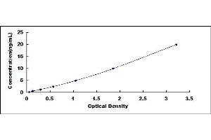 Typical standard curve (RPA1 ELISA Kit)