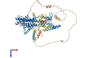 PHTF1 Protein (AA 1-761) (His tag)
