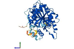 Protein Structure (PS) image for Platelet-Activating Factor Acetylhydrolase 2, 40kDa (PAFAH2) (AA 1-390) protein (His tag) (ABIN7559856)