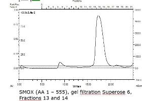 Size-exclusion chromatography-High Pressure Liquid Chromatography (SEC-HPLC) image for Spermine Oxidase (SMOX) (AA 1-555) protein (Strep Tag) (ABIN3077180)