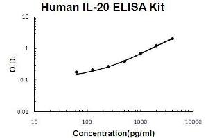 Human IL-20 PicoKine ELISA Kit standard curve (IL-20 ELISA Kit)