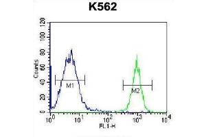 Flow Cytometry (FACS) image for anti-Parathymosin (PTMS) antibody (ABIN2996966)