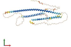 Protein Structure (PS) image for Coiled-Coil Domain Containing 78 (CCDC78) (AA 1-438) protein (His tag) (ABIN7552979)