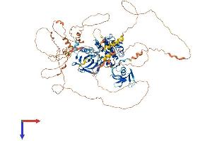 MAP3K14 Protein (AA 1-947) (His tag)