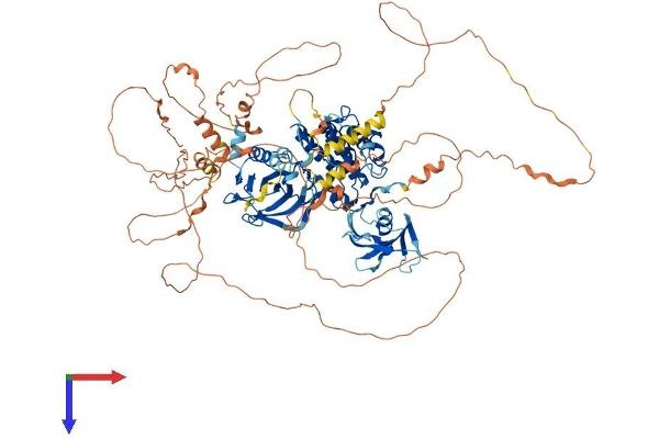 MAP3K14 Protein (AA 1-947) (His tag)