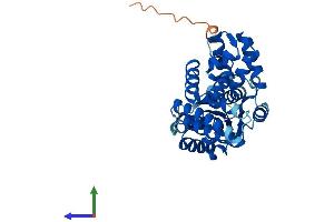 Protein Structure (PS) image for Replication Factor C (Activator 1) 5, 36.5kDa (RFC5) (AA 1-340) protein (His tag) (ABIN7551375)