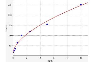 MTX2 ELISA Kit