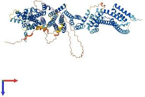 NUP107 Protein (AA 1-926) (His tag)