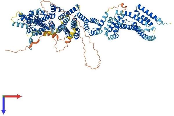 NUP107 Protein (AA 1-926) (His tag)