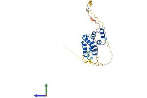 Protein Structure (PS) image for EDAR-Associated Death Domain (EDARADD) (AA 1-215) protein (His tag) (ABIN7547253)