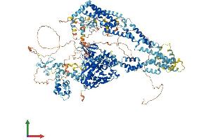 Protein Structure (PS) image for Lysine (K)-Specific Demethylase 5C (KDM5C) (AA 1-1554) protein (His tag) (ABIN7563231)