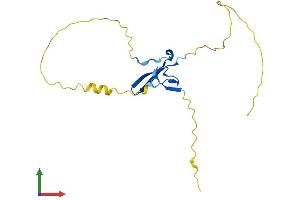 Protein Structure (PS) image for YY1 Associated Factor 2 (YAF2) (AA 1-180) protein (His tag) (ABIN7545210)